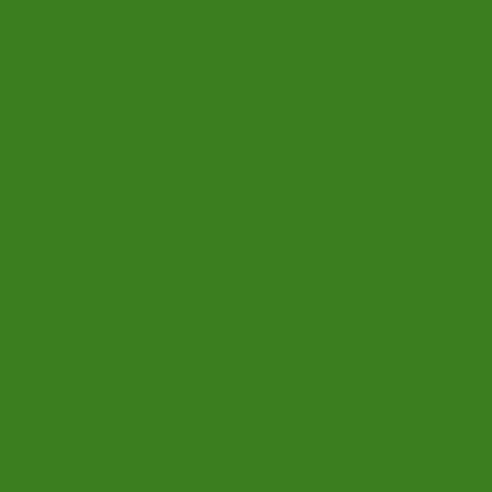 Керамогранит AR-605 ретиф. зелёный лист Арлекино 60х60 Пл-46,08 Уп-1,44 