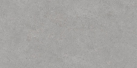 Керамический гранит DL500800R Фондамента серый светлый обрезной 60х119,5 Пл-43,02 Уп-1,434 